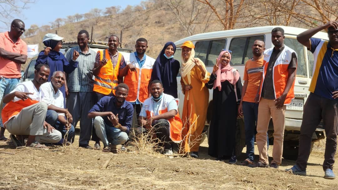 Activity from consultancy